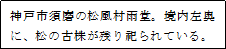 神戸市須磨の松風村雨堂。境内左奥に、松の古株が残り祀られている。