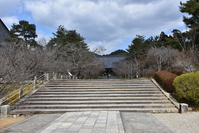 仁和寺境内